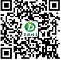 大鸡巴轻点插上海免费网站